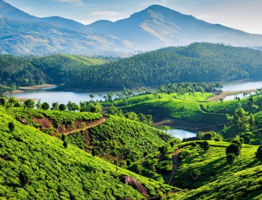 Munnar Madness